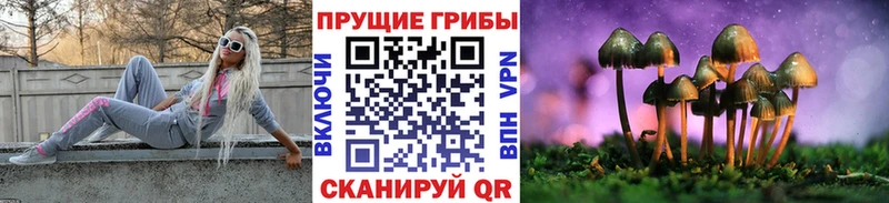 мега ссылка  купить  цена  Любань  Галлюциногенные грибы ЛСД 